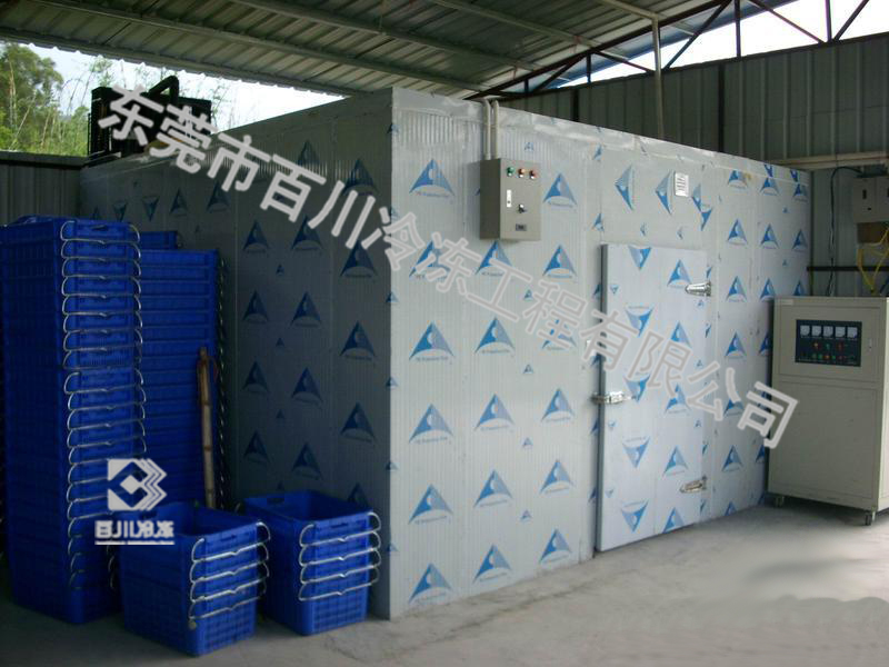 湛江鹽鴻凍肉冷庫